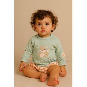 De 1 a 36m conjunto...