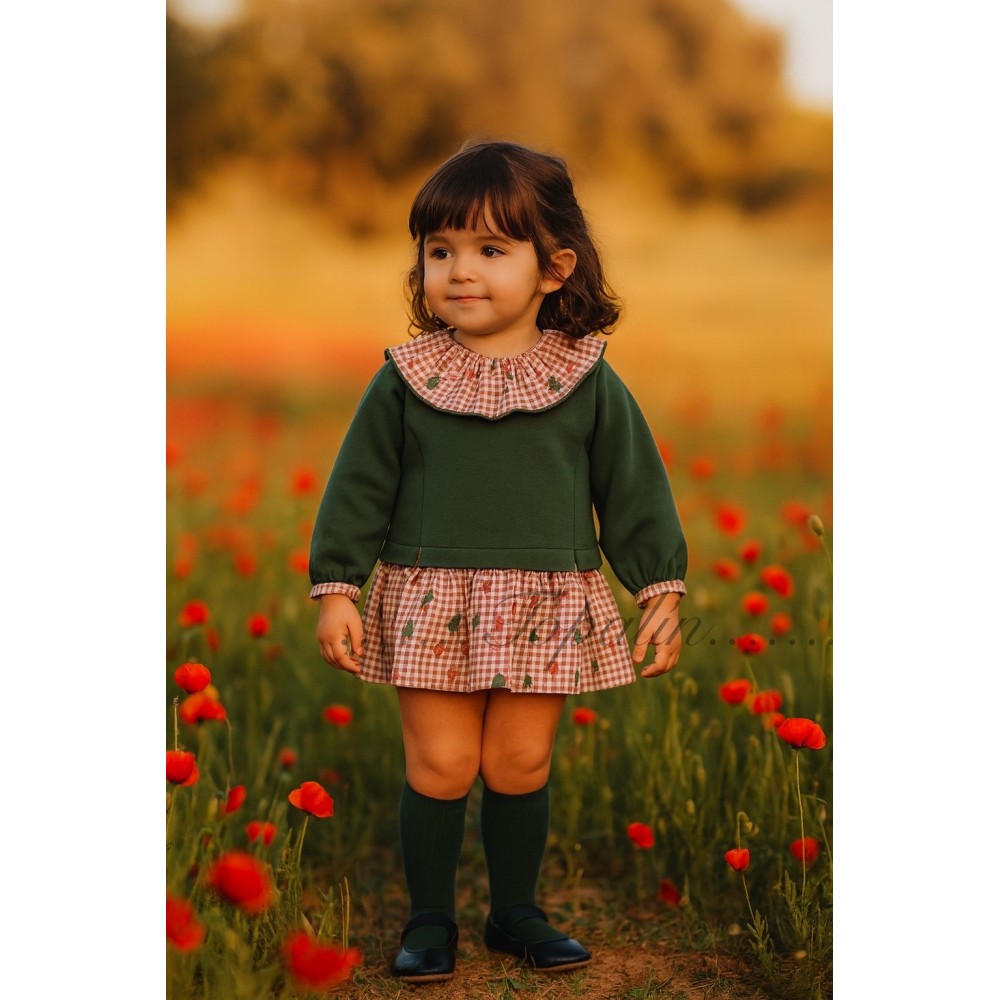 De 3 a 36m vestido Plumas Del Sur by Yoedu