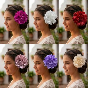 Hortensia diametro 13cm